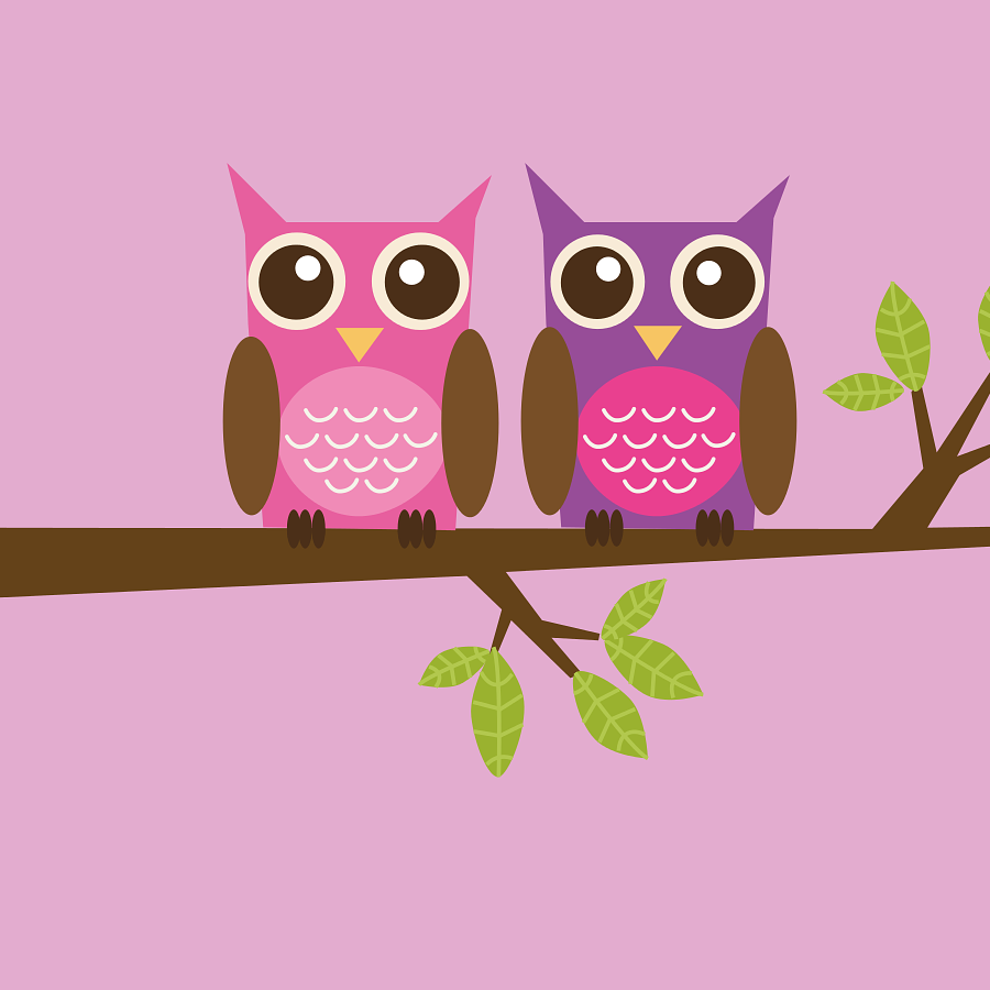 owl